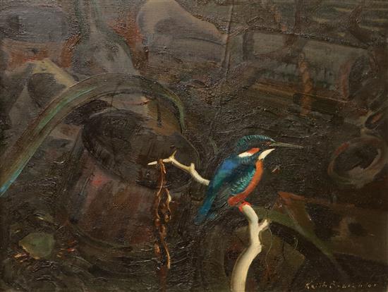 Keith Shackleton Study of a kingfisher 13 x 17in.